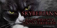 Allevamento di gatti siberiani SkyBerians 
